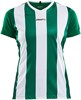 Craft Progress Stripe Shirt Korte Mouw Dames - Groen / Wit | Maat: S