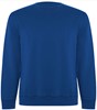 Kobalt Blauwe unisex Eco sweater Batian merk Roly maat 3XL